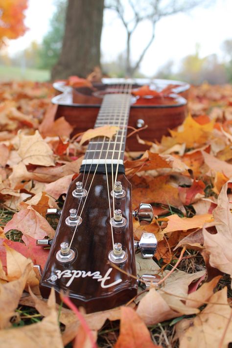 Brecken N. Schaller Photography #guitar #fallphotography Fall Guitar Aesthetic, Acoustic Guitar Aesthetic Wallpaper, Guitar Poses, Blue Acoustic Guitar, Violin Pics, Songwriting Inspiration, Acoustic Guitar Photography, Couples Hidden Face Pics, Acoustic Guitar Music