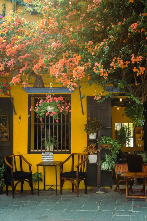 Our 2 week Vietnam itinerary ends with a trip to Hoi An to visit the colourful town and it's cafes Vietnam Hoi An, Vietnam Cafe, Vietnam Tet, Vietnam Pictures, Vietnam House, Hoian Vietnam, Vietnam Trip, Vietnam Itinerary, Vietnam Backpacking