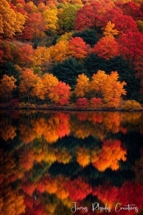 Fall Wether Weather Beautiful, Fall Reflections, James Rhodes, Pretty Paintings, Reflection Pictures, Autumn Scenes, Autumn Scenery, Autumn Painting, Autumn Beauty