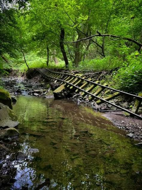 Forest Reference, Abandoned Exploration, Abandoned Railroad, Oc Story, Background References, Abandoned Photography, Apocalypse Aesthetic, Disused Stations, Horror Stuff