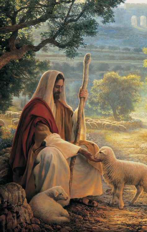 Chapter 20: ‘Feed My Sheep’ Feed My Sheep, Jesus Christ Painting, Jesus Artwork, Jesus Christ Artwork, Pictures Of Christ, Jesus And Mary Pictures, Jesus Photo, Jesus Christ Art, Pictures Of Jesus Christ