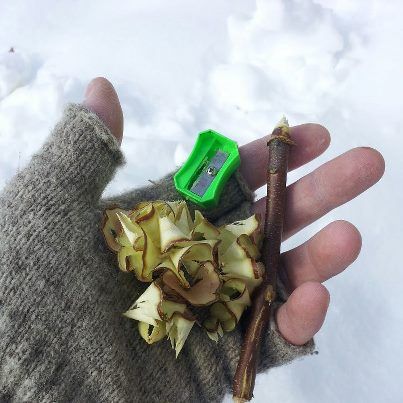 Kindling from twigs and a pencil sharpener Supraviețuire Camping, Camping Diy, Survival Life Hacks, Bushcraft Camping, Survival Life, Bug Out Bag, Survival Food, Wilderness Survival, Camping Backpack