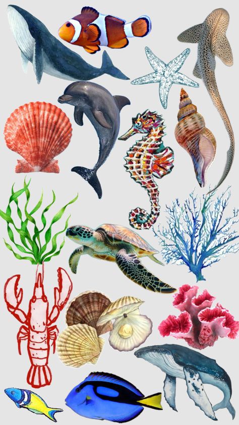 Under the sea #ocean #summer #nature #fish Under The Sea Aesthetic, The Sea Aesthetic, Sea Collage, Sea Aesthetic, Summer Nature, Sea Ocean, Under The Sea, The Ocean, The Sea