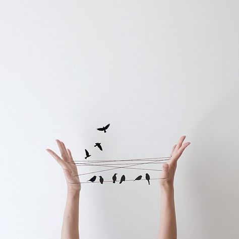 pchyburrs_Instagram_000 – Fubiz Media Birds On A Wire, Hand Photography, Foto Tips, Conceptual Photography, Minimalist Photography, Foto Art, Foto Inspiration, Creative Photos, 인물 사진