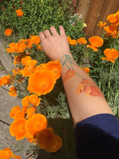 Mexican Poppy Tattoo, Orange Poppy Tattoo, California Poppy Tattoo, California Poppy Art, Ab Tattoo, Poppy Tattoo, Poppies Tattoo, Poppy Art, Orange Poppy