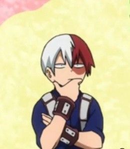 Thinking Todoroki is sooooo cuttteeeee Thinking Reaction, Reaction Pictures, Boku No Hero Academia, My Hero Academia, Vault Boy, Mario, Mario Characters, Disney Princess, Disney Characters