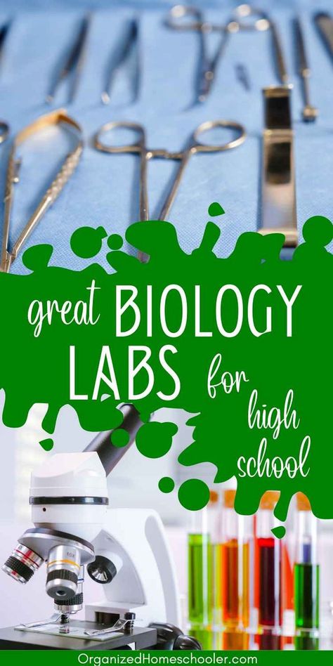 great biology labs for high school written between dissection tools and a microscope High School Biology Projects, Biology Activities High School, High School Biology Classroom, High School Science Experiments, Experiments At Home, High School Biology Teacher, High School Science Classroom, Biology Experiments, Biology Activity