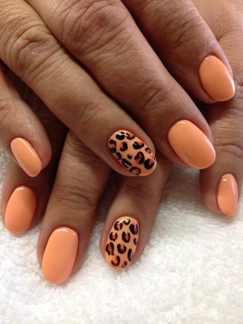 Peach Animal Print Nails, Orange Cheetah Print Nails, Leopard Print Summer Nails, Orange Leopard Nails, Safari Nails, Cheetah Nail Designs, Cheetah Print Nails, Cute Nail Colors, Animal Print Nails Art