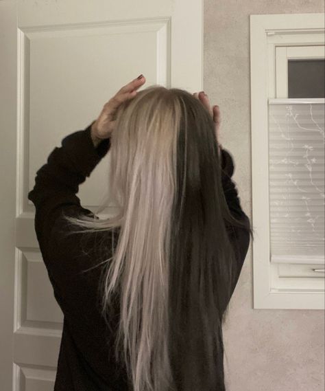 split dye hair black and white Split Dye Hair Ideas Brown, Blond And Brown Split Hair, Split Hair Underneath, Hairstyles For Split Dyed Hair, Spilt Dye Hair Ideas Blonde, Split Hair Aesthetic, Black And Grey Hair Ideas, Ash Blonde And Black Hair, Black And Blonde Hair Split