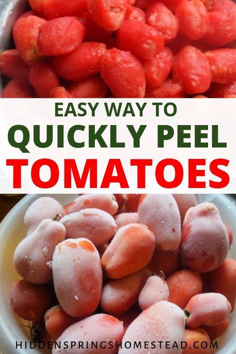 How To Peel Tomatoes Easily, Tomato Preserving, Blanching Tomatoes, Freeze Veggies, Roma Tomato Recipes, Peeling Tomatoes, Peel Tomatoes, Canning Garden, Freezing Veggies