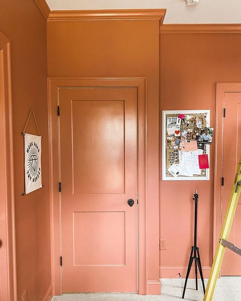 farrow and ball "red earth" Farrow And Ball Hallway, Farrow And Ball Bedroom, Farrow And Ball Living Room, Terracotta Walls, Hours Painting, Red Ceiling, Hallway Paint, Family Room Makeover, Red Earth