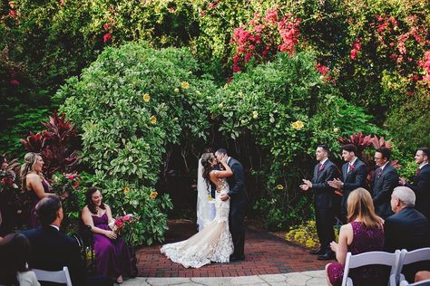 Sunken Gardens Wedding, Sunken Gardens, Garden Florida, St Pete Wedding, Never Getting Married, Garden Ceremony, Sunken Garden, Wedding Of The Year, Romantic Wedding Photos