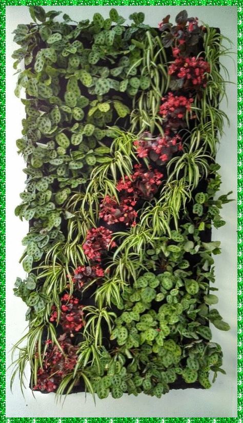 [SponsoredPost] Vertical Gardening With A Ribbon Of Begonias #verticalvegetablegardendesign Vertical Vegetable Garden Design, Vertical Plant Wall, Green Wall Plants, Kebun Herbal, Wall Plants, Plants House, Tanaman Indoor, Vertical Garden Design, House Green