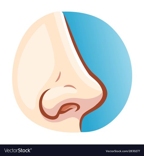 Nose Picture, Nose Image, Nose Clipart, Nose Illustration, Cartoon Nose, Nose Cartoon, Human Nose, Cartoon Noses, Anime Nose