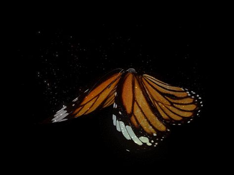 Papillon gif Fly Gif, Butterfly Meaning, Butterfly Gif, Beau Gif, Gif Background, Anime Butterfly, Butterfly Images, Gif Lucu, Butterfly Photos