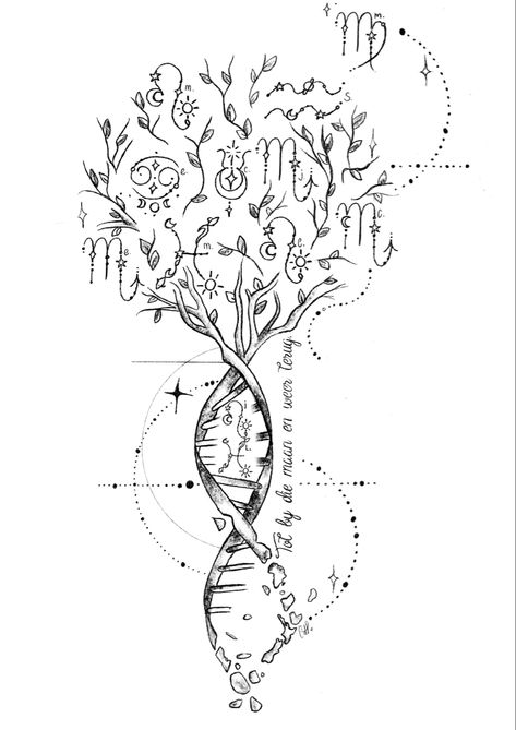 Zodiac star signs DNA family tree tattoo designs nature tree Family Tree Spine Tattoo, Family Tree Of Life Tattoo, Tree Of Like Back Tattoo, Dna Family Tree Tattoo, Family Spine Tattoos For Women, Constilation Tattoo Back, Tattoos With Family Meaning, Dna Family Tattoo, Family Representation Tattoos