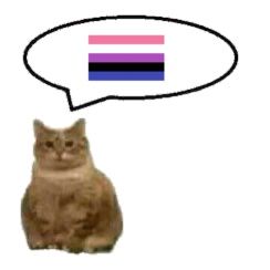 genderfluid Genderfluid Pride, Bisexual Flag, Lgbt Flag, Gay Memes, Cat Icon, Bad Person, My Vibe, Reaction Pictures, A Cat