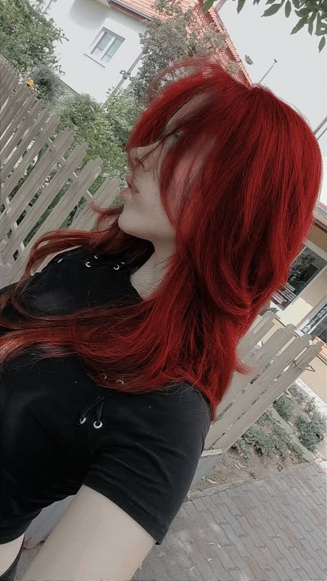 Red Long Straight Hair, Girls With Red Hair Dyed, Red Alt Hair, Apple Haircut, Red Emo Hair, Emo Red Hair, Red Hair Wolf Cut, Red Hair Bright, Red Wolf Cut