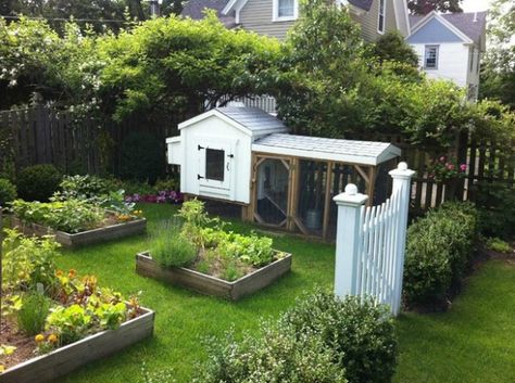 Raised Bed Herb Garden, Cute Chicken Coops, Chicken Garden, Farmhouse Landscaping, Building A Chicken Coop, Backyard Chicken Coops, Garden Area, Country Landscaping, Veggie Garden