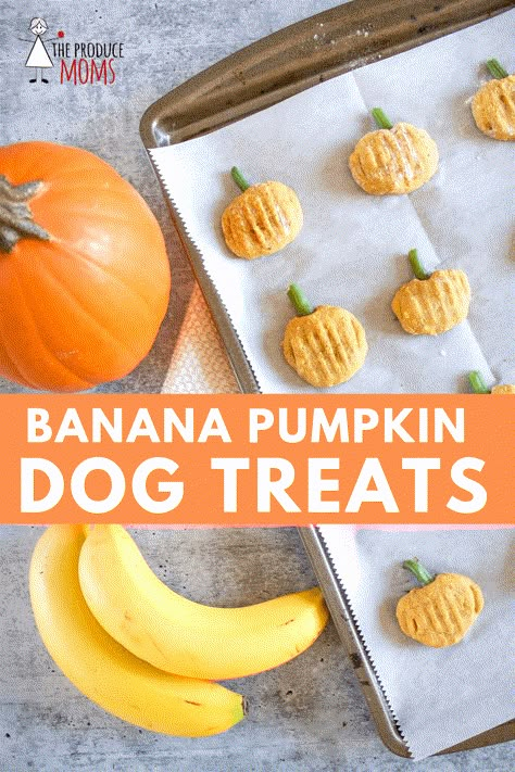 Banana Pumpkin Dog Treats - The Produce Moms Thanksgiving Dog Treats, Pet Treats Recipes, Dog Treats Homemade Easy, Easy Dog Treat Recipes, Dog Biscuit Recipes, Dog Pumpkin, Easy Dog Treats, Healthy Dog Treats Homemade, Pumpkin Dog Treats