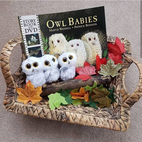 Story Baskets Ideas, Story Baskets For Toddlers, Baby Treasure Basket, Bear Theme Preschool, Reggio Activities, Story Bags, Childminding Ideas, Story Baskets, Owl Activities