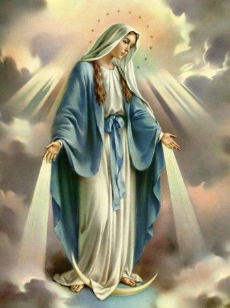 blessed virgin mary december | ... the Immaculate Conception of the Blessed Virgin Mary | one tiny violet Immaculate Mary, Panna Marie, Assumption Of Mary, مريم العذراء, Blessed Mary, Maria Magdalena, Religious Pictures, Mama Mary, Queen Of Heaven