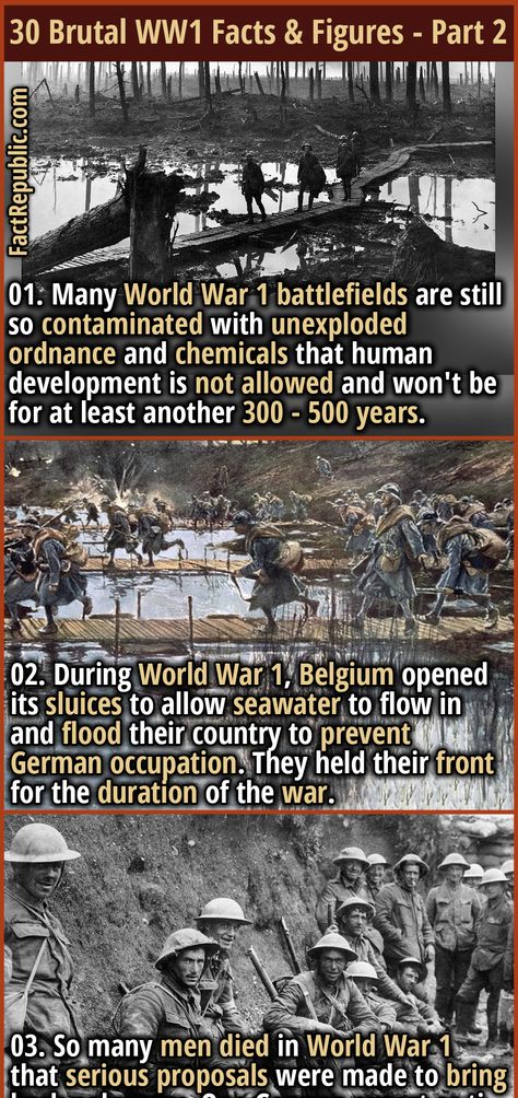 Ww1 Facts, Ww1 Battles, Wwii Maps, Historic Facts, Weird History Facts, World History Facts, History Of Earth, Fact Republic, Oklahoma History