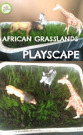 Make your own African playscape with this experiment! http://www.greenkidcrafts.com/african-grasslands/ African Grasslands, Safari Science, Animal Migration, Habitat Activities, Fun Experiments For Kids, Grassland Habitat, Safari Activities, Let It Grow, Classroom Transformation