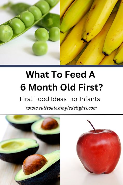 Figuring out what to feed your 6 month old can be overwhelming? With this article we go over everything you need to know about preparing your child's first foods with easy baby food recipe ideas and cooking tips for feeding your 6 month old their first foods. What Should I Feed My 6 Month Old, What Can A 6 Month Old Eat, What Foods Can I Give My 6 Month Old, Starting Foods At 6 Months, Feeding 6 Month Old Baby, 6 Month Old Food Ideas Starting Solids, What To Feed My 6 Month Old, Food For 6 Month Old Baby, First Foods For 6 Month Old