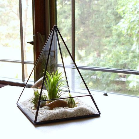 Glass Pyramid Terrarium Pyramid Terrarium, Pyramid Planter, Air Plants Diy, Terrariums Diy, Air Plant Garden, Glass Pyramid, Diy Terrarium Kit, Air Plants Decor, Casa Retro