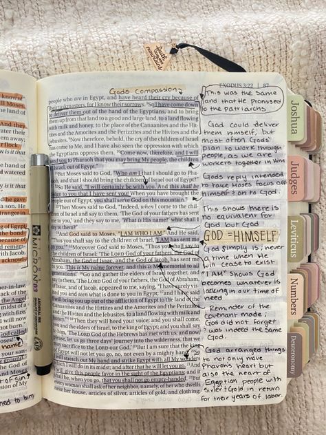 Notetaking Bible Ideas, Bible Note Taking Methods, Annotated Bible Aesthetic, Bible Study Catholic, Bible Tip Ins, Bible Annotations Aesthetic, Bible Notations, Exodus Bible Study Notes, Bible Book Aesthetic