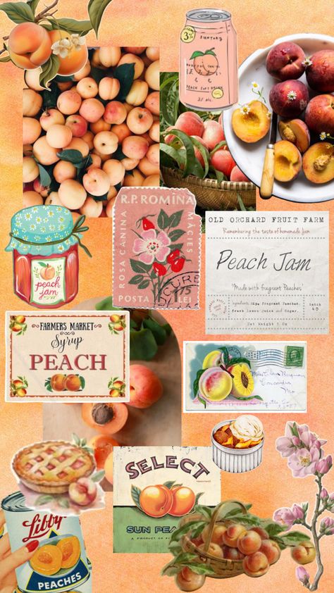 Peach Collage #vintage #peach #peaches #foodart #collage #wallpaper Peach Collage Wallpaper, Peach Collage, Peach Jam, Collage Wallpaper, Old Orchard, Collage Vintage, Just Peachy, Peaches, Farmers Market