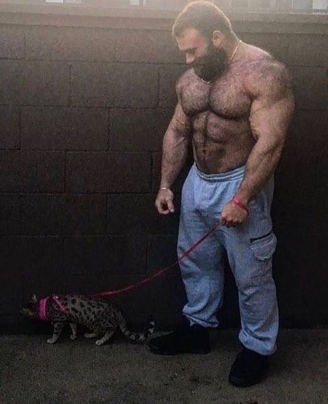 Frank Mannarino Huge Muscles, Dad Bodies, Burly Men, Men With Cats, Buff Guys, Handsome Older Men, Scruffy Men, Beefy Men, Muscle Bear