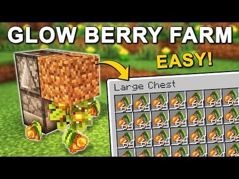 EASY Automatic Glow Berry Farm in Minecraft 1.20 (Tutorial) - YouTube Glow Berry Minecraft, Minecraft Glow Berries Farm, Automatic Minecraft Farms, Minecraft Automatic Farm Ideas, Automatic Farms Minecraft, Minecraft Automatic Farm, Minecraft Museum, Minecraft Farms, Farm In Minecraft