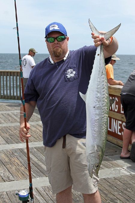 Fall Fishing, Fish Species, Buy Fish, Fishing Techniques, Pier Fishing, Gulf Shores, Orange Beach, Best Fishing, Saltwater Fishing