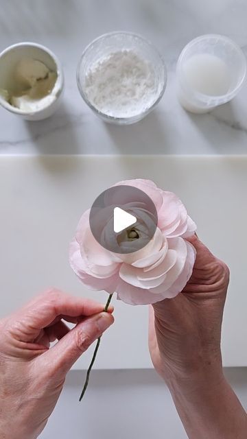 Jacqueline Butler on Instagram: "Playing with proportions. This wafer paper ranunculus has a smaller, tighter center with longer overbloomed petals. And a pretty ombre colorway from pale to light pink. Happy Thursday!   #waferpaperranunculus #waferpaperflowers #petalsweetcakes #fineartistryforcake" Wafer Paper Tulips, Wafer Paper Flowers Cake, Wafer Paper Flowers Tutorial, Wafer Flowers, Wafer Paper Tutorial, Paper Ranunculus, Paper Peonies Tutorial, Wafer Paper Flowers, Wafer Paper Cake