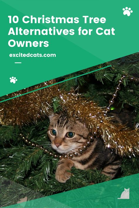 Cats and Christmas trees do not mix. Whether they’re knocking baubles onto the floor or scaling the branches, cats seem to love the smell of pine and the natural allure of the tree bark. While it might seem like they also love nothing more than causing trouble, your cat is really only doing what instinct demands by climbing, exploring, and inquisitively playing. Read more! #catsoftheworld #catlife #excitedcats #funnycats #christmastree #catadvice Christmas Tree Ideas Cat Proof, Cat Friendly Christmas Trees, Cat Proofing Christmas Tree, Cat Safe Christmas Tree Ideas, Christmas Tree Alternative Cat, Christmas Tree For Cats Owners, Christmas Decor Ideas Cat Proof, Kitten Proof Christmas Tree, Cat Friendly Christmas Decor