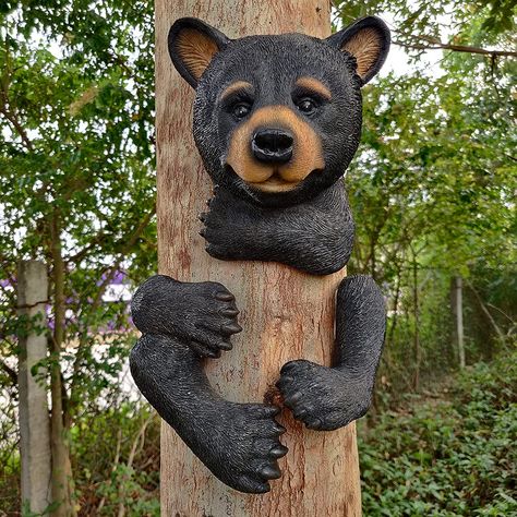 Black bear cub