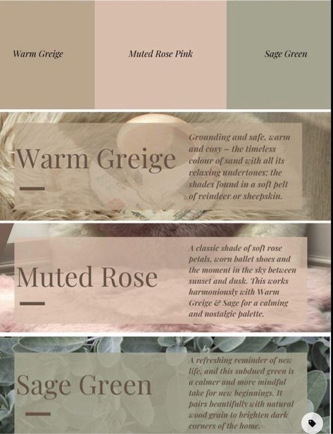 Soft Pink And Sage Green Bedroom, Pink Sage Green Living Room, Blush Pink And Sage Green Living Room, Sage And Pink Dining Room, Sage Green Blush Bedroom, Sage Green And Pink Baby Nursery, Sage And Blush Bedroom Decor, Sage Green Paint Colors Nursery, Nursery Ideas Sage Green And Pink