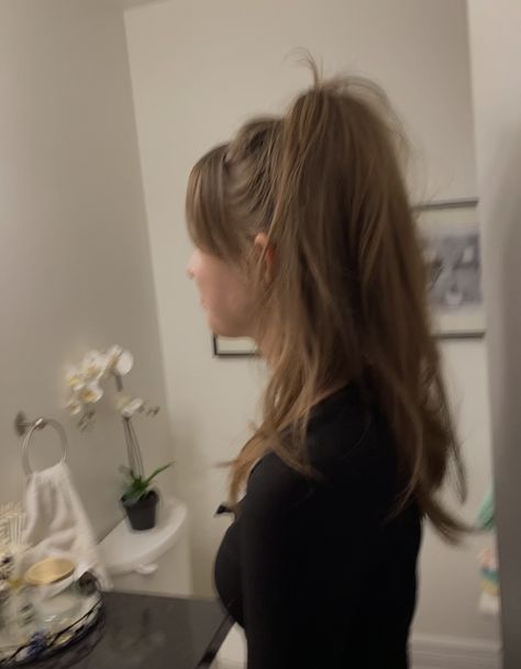 Curtain Bangs Ponytail Aesthetic, Long High Ponytail With Bangs, Curtain Bangs Straight Hair Ponytail, Cute Hairstyles With Curtain Bangs Braids, Curtain Bangs High Ponytail, Low Ponytail With Curtain Bangs, High Pony With Curtain Bangs, Hairstyles Short Curtain Bangs, High Ponytail With Curtain Bangs