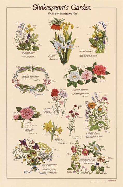 Amazon.com: Shakespeare's Garden Poster - Flowers in Shakespeare's plays: Posters & Prints The Language Of Flowers, Different Types Of Flowers, Arte Van Gogh, Flower Meanings, Botanical Poster, Language Of Flowers, Alam Yang Indah, Types Of Flowers, Pics Art