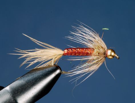 15 Trout Flies You Must Tie | Fly Tyer Fly Tying Patterns Trout, Best Trout Flies, Beginner Fly Tying, Fly Fishing Nymphs, Fly Fishing For Beginners, Fly Tying Desk, Aquatic Insects, Trout Fishing Tips, Fly Fishing Flies Pattern