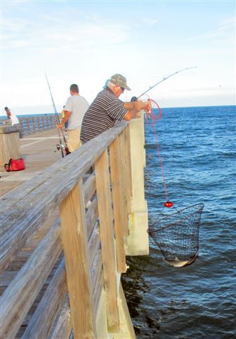 Pier Fishing Basics For Saltwater Fun And Fillets - Union ... Fishing Basics, Salt Water Fishing, Fishing Pier, Bass Fishing Lures, Fly Fishing Tips, Bass Fishing Tips, Crappie Fishing, Fishing Techniques, Ocean Fishing