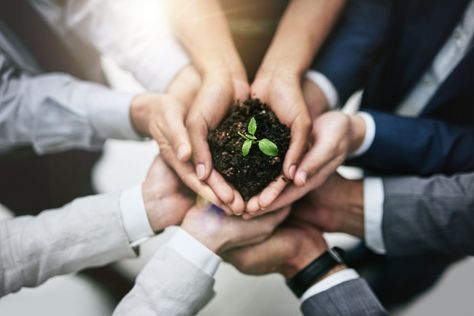 You Don't Have to Be All That Corporate to Make an Impact With Corporate Social Responsibility - Entrepreneur https://www.entrepreneur.com/article/295114    Corporate social responsibility is often talked about only in the context of large enterprises. However, weaving social consciousness into your company’s fabric is possible -- and even advantageous -- at the small business level, as well. We are seeing a definite uptick in the number of business owners who are integrating the Triple “P” Mode Sustainability Consulting, Lead Nurturing, Bookkeeping Business, Plastic Food Containers, Accounting Firms, Corporate Social Responsibility, High Angle, Career Woman, Sponsored Content