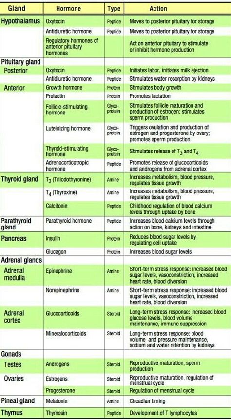 Hormones. | Medical school essentials, Medical school studying, Pharmacology nursing Hormone Study Notes, Hormones Vs Neurotransmitters, Endocrine Hormones Cheat Sheet, Hormones And Their Functions, Adrenal Gland Hormones, Endocrine System Hormones, Studying Nursing, Endocrine System Nursing, Medical Terminology Study