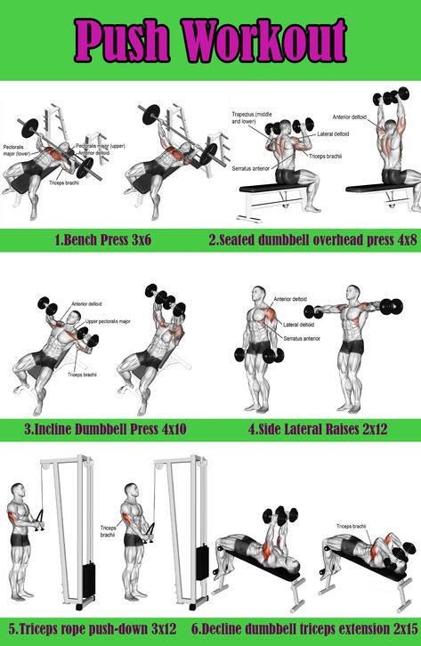 Chest Day Workout Men Gym, Push Day Workout Gym Men, Push Day With Dumbbells, Push Day Circuit, Best Push Day Workout, Push Day Routine, Push Exercises Gym, Push Gym Workouts, Push Dumbbell Workout