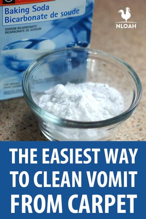 The Easiest Way To Clean Vomit From Carpet Baking Powder For Cleaning, Baking Soda Drain Cleaner, What Is Baking Soda, Natural Odor Remover, Baking Soda For Skin, Dog Throwing Up, Baking Soda Health, Baking Soda On Carpet, Baking Soda Benefits