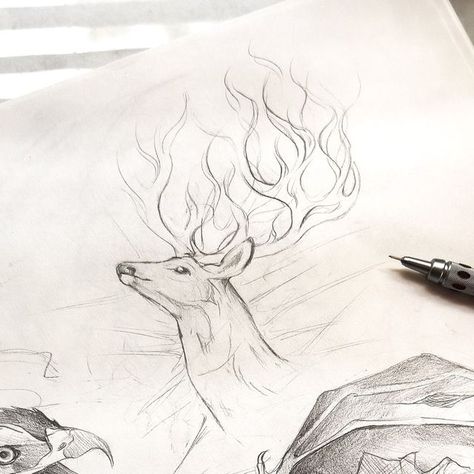 Katy Lipscomb on Instagram: "Sketches from what I’m reading!  Here are some sketch pages featuring characters from some of the books I’m currently reading, including “Throne of Glass” and “A Court of Thorns and Roses.”One of my favorite things about Sarah J. Maas' literary universe(s) is the incredible variety of creatures and beasts! This sketch page features my interpretations of Abraxos the wyvern, Rowan in his hawk form, and the Lord of the North. The last page shows my version of Tamlin (whether you love him or hate him) in his primal beast form.  Everyone envisions characters differently, and this is just how these fascinating creatures came to life for me! Which creature from the SJM books do you love the most? Or if you’re not familiar, what’s your favorite lesser-known fantasy cre Rowan Hawk Form, Katy Lipscomb, Sketch Pages, Sketch Page, Sjm Books, Court Of Thorns And Roses, Currently Reading, Throne Of Glass, Sarah J