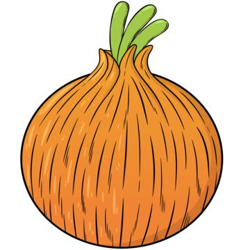 onions,onion cartoon,vegetables,ingredients,cartoon,food,material,cartoon onions,green,onion illustration,food ingredients,onion pictures,cute onions,hand drawn onions,healthy,fresh,delicious,vegetable illustrations,large onions,onion,bombay,illustration,psd,clipart,clip art,vector,handdrawn,drawing,picture,brown,brown onions,chocolate,round,vegetable,tasty,hand drawn onion illustration,ingredients for cooking,onions psd,onion vector,onion image,onion plants Bombay Illustration, Onion Image, Onion Clipart, Onion Pictures, Onion Cartoon, Onion Illustration, Onion Drawing, Cartoon Vegetables, Cartoon Png Transparent