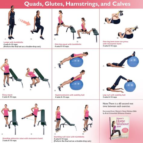 Quad And Glute Workout, Strengthen Quads, Calves Workout, Workout Glutes, Leg Exercise, Glute Bands, Calf Exercises, Fat Burning Cardio, Gym Workouts Women